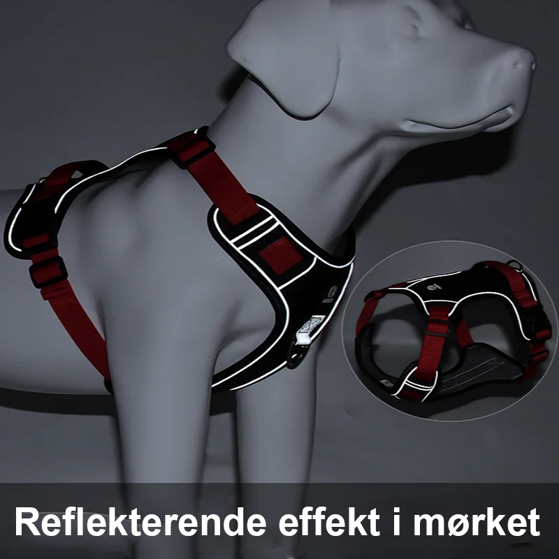 Beskrivelse av hvor de reflekterende detaljerne sitter på hundesele med refleks for stor hund.