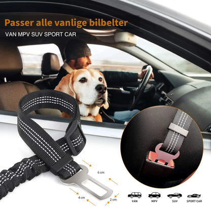 Bilbelte til hund - Med universell passform*