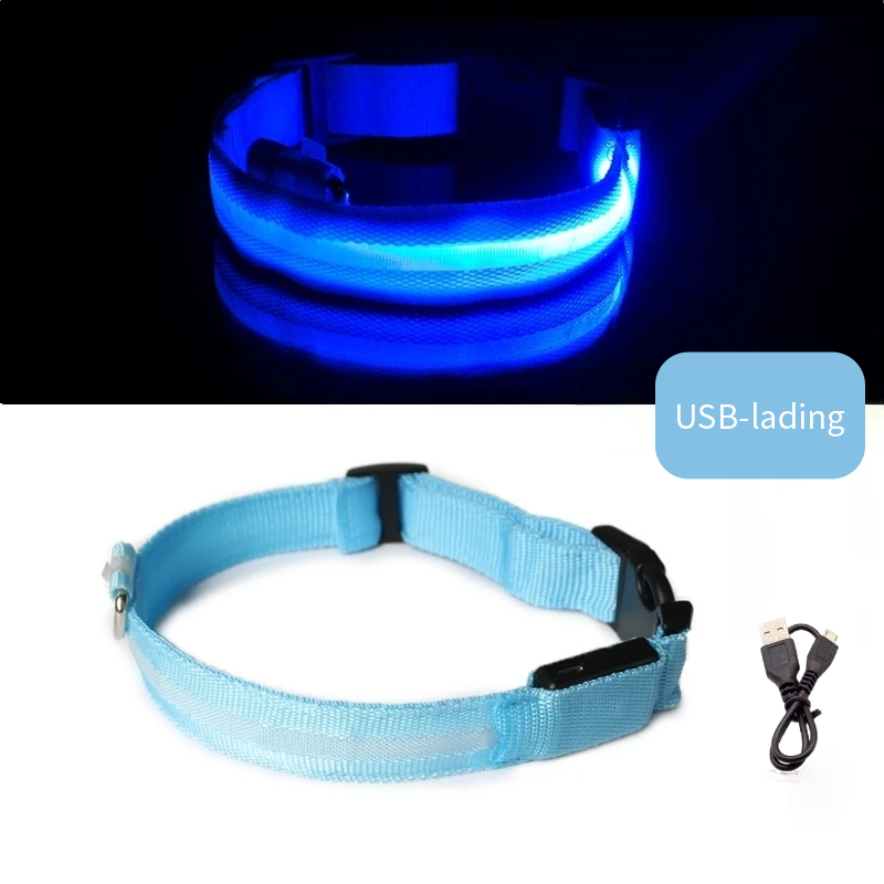 Blå LED halsbånd til hund med USB-lading