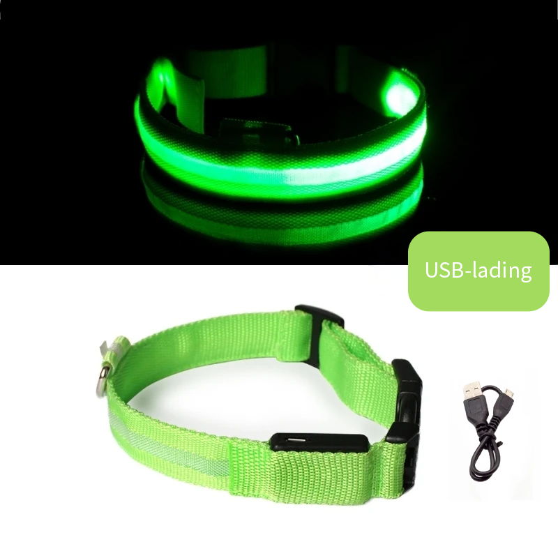 Grønn LED halsbånd til hund med USB-lading