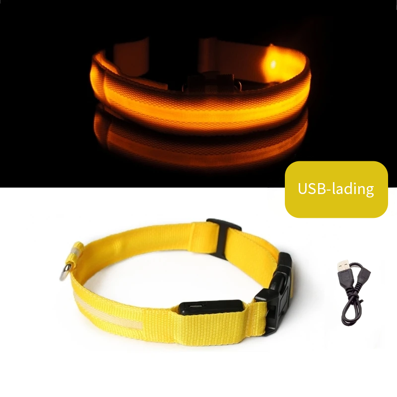 Gul LED halsbånd til hund med USB-lading