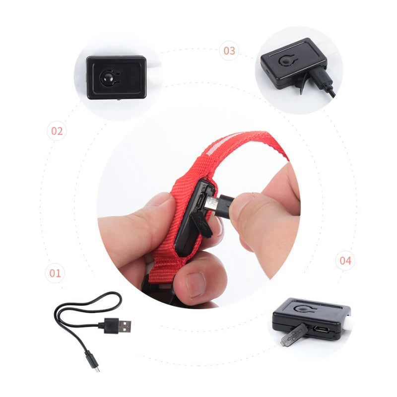 Instruksjoner for lading av USB halsbånd til hund