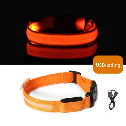 Oransje LED halsbånd til hund med USB-lading
