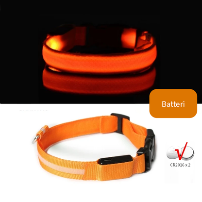 Oransje LED halsbånd til hund med batteri