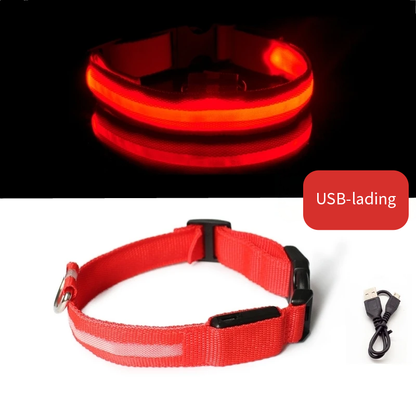 Rød LED halsbånd til hund med USB-lading