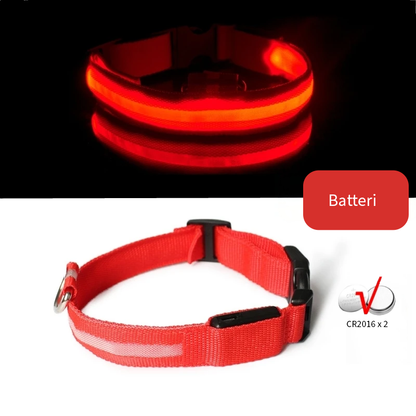 Rød LED halsbånd til hund med batteri
