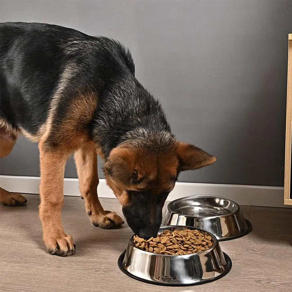 Matskål og vannskal til hund i rustfritt stål fylt med hundemat og vann under måltid