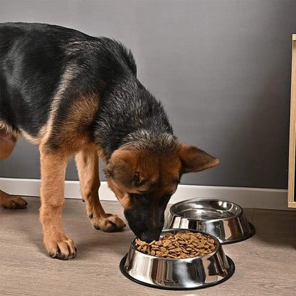 Matskål og vannskal til hund i rustfritt stål fylt med hundemat og vann under måltid