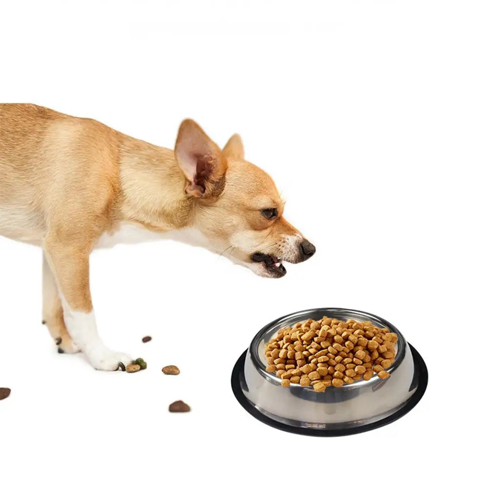 Hund spiser fra matskål i rustfritt stål – stabil matskål til hund.